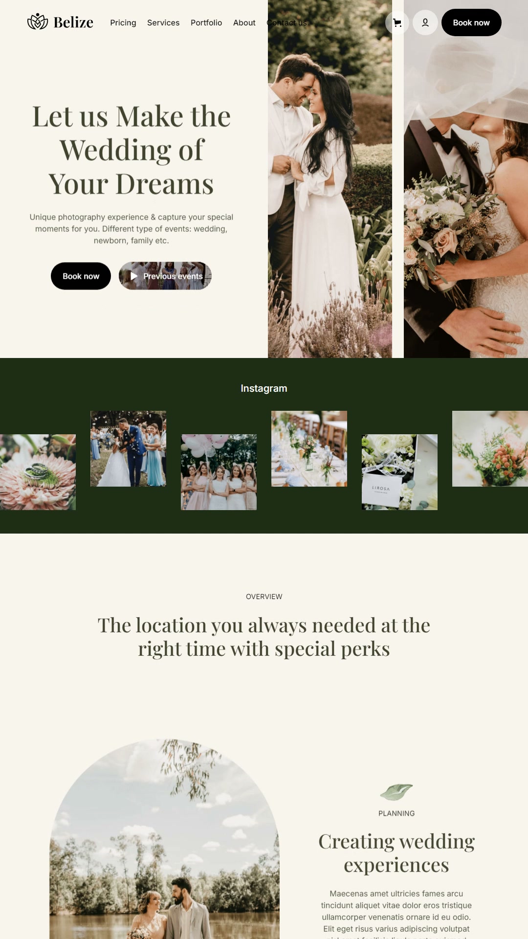 Belize digital wedding invitation preview on mobile
